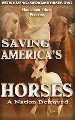 Saving America's Horses Film Banner